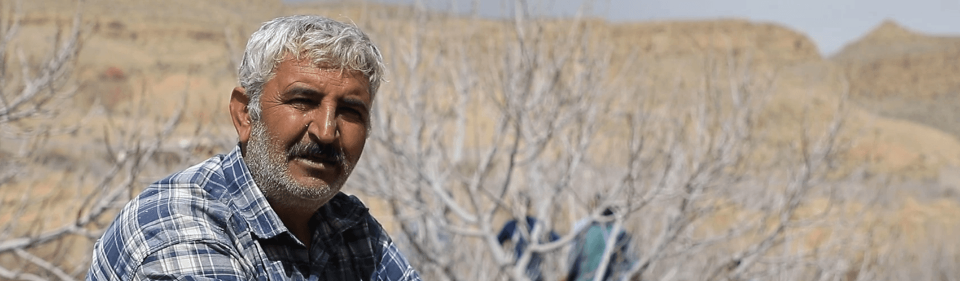 مسئولیت اجتماعی